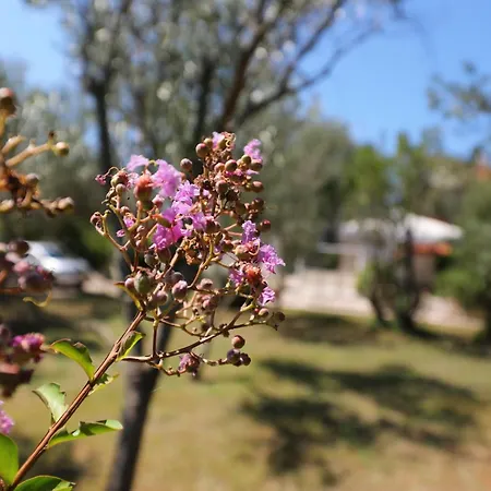 Apartamento Suzana